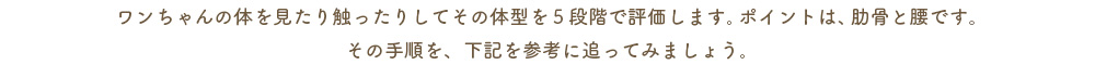 ワンちゃんの体を見たり触ったりしてその体型を５段階で評価します。ポイントは、肋骨と腰です。その手順を、下記を参考に追ってみましょう。