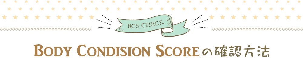 body Condision Scoreの確認方法