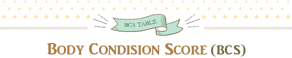 body Condision Score(BCS)
