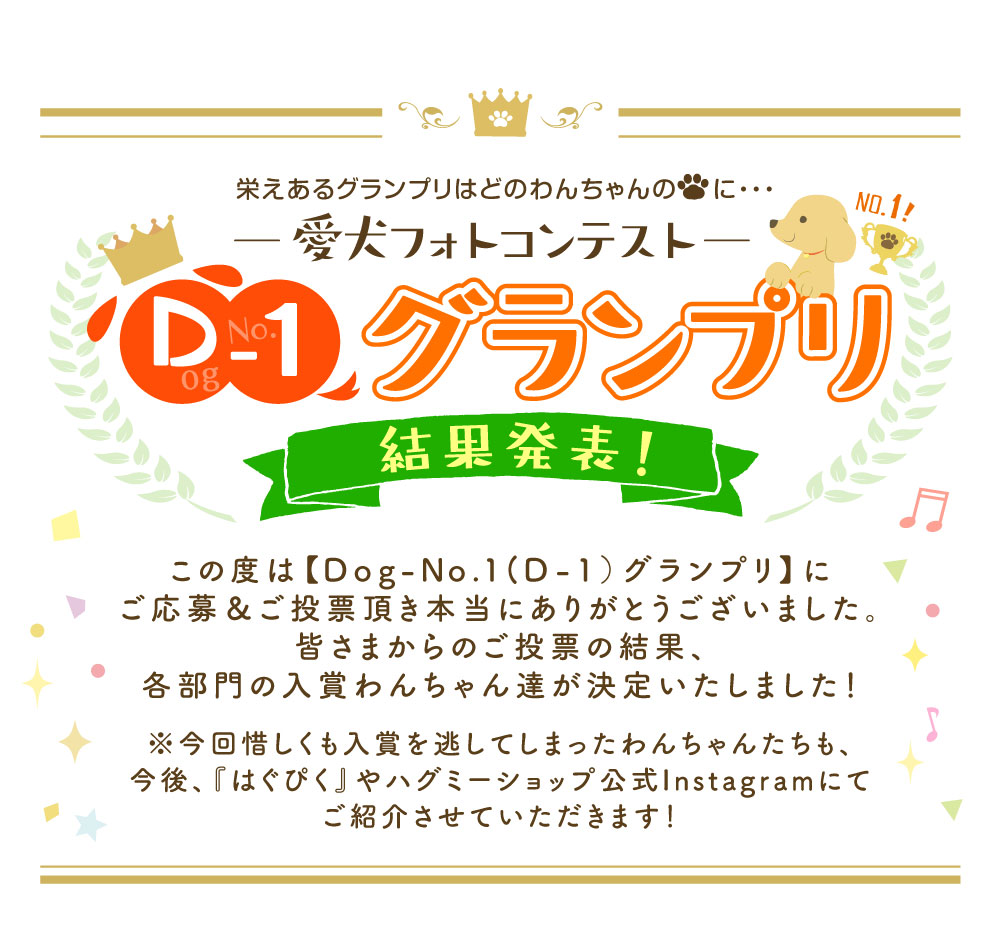 D-1グランプリ結果発表トップ