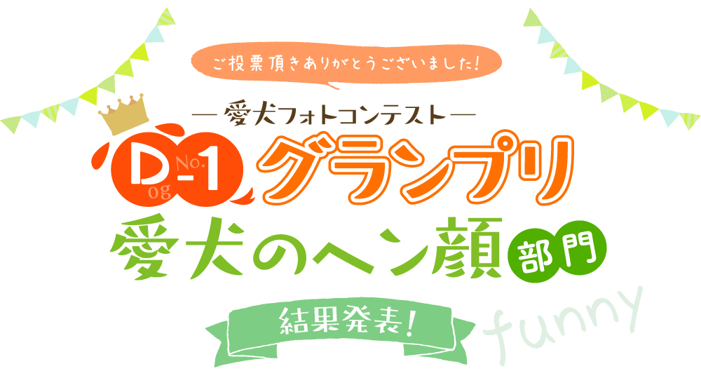 D-1グランプリ愛犬のヘン顔　部門結果発表