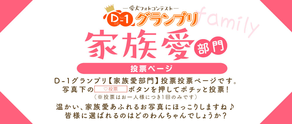 D-1グランプリ愛犬の家族愛部門投票トップ