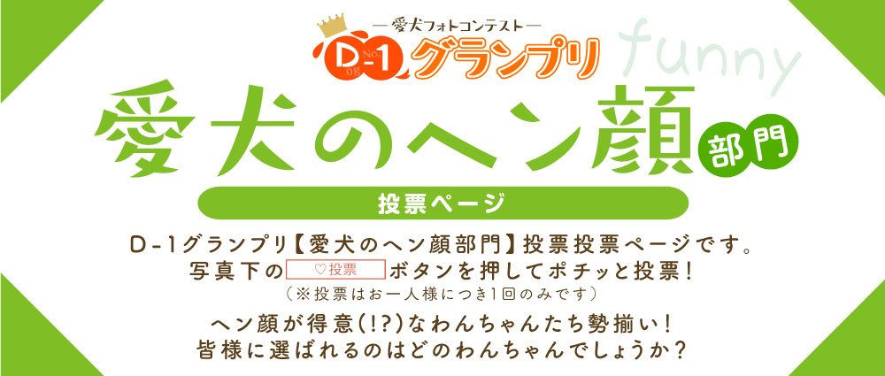 D-1グランプリ愛犬のヘン顔部門投票トップ