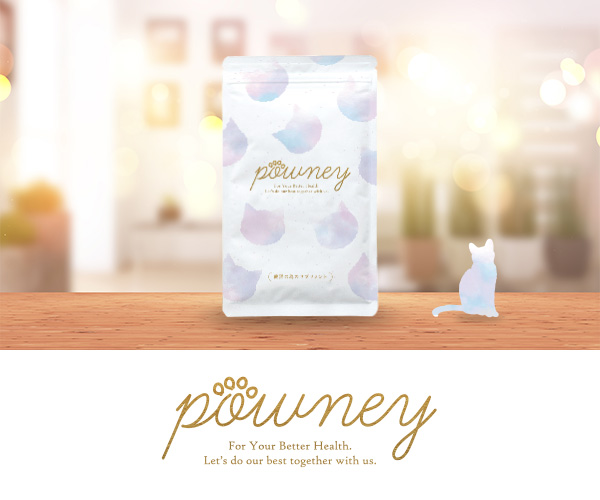 ねこの腎臓ケアサプリ powney-パウニー-
