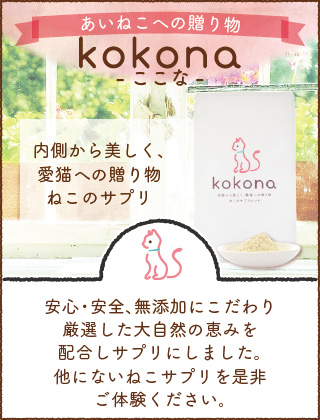 kokona-ここな-