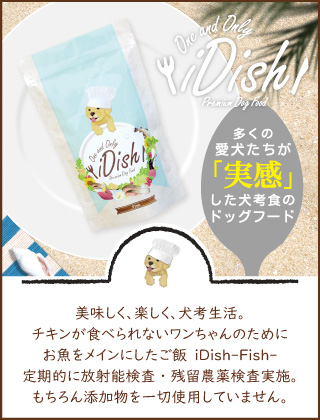 iDish-FISH-アイディッシュ フィッシュ-